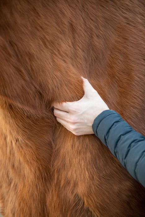 Behandlung-der-Brust
